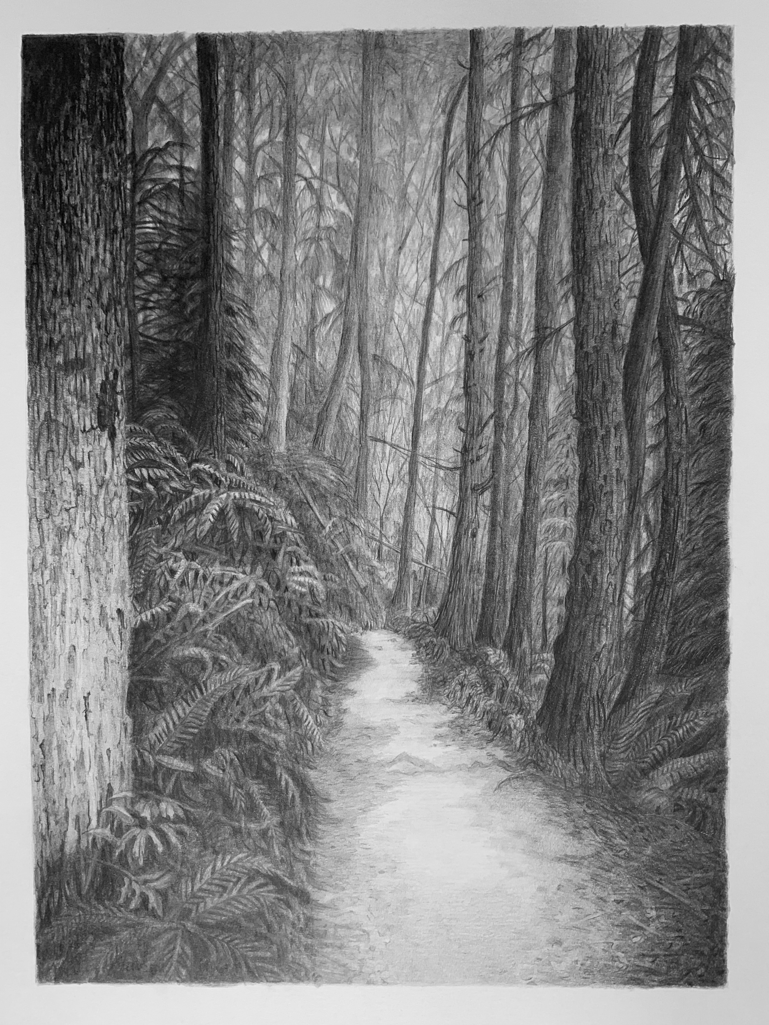 path 5